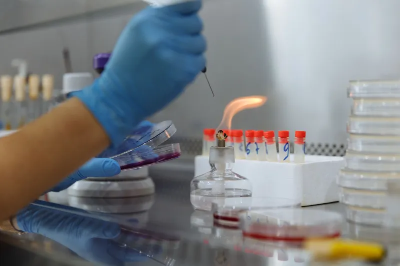 Spores, Basements, and Breakthroughs: The Rogue Mycologists Rewriting Biotech's Rulebook